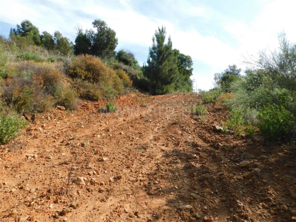 Terreno para Venda em Pero Viseu Foto 6