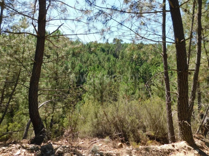 Terreno para Venda em Castelejo Foto 3