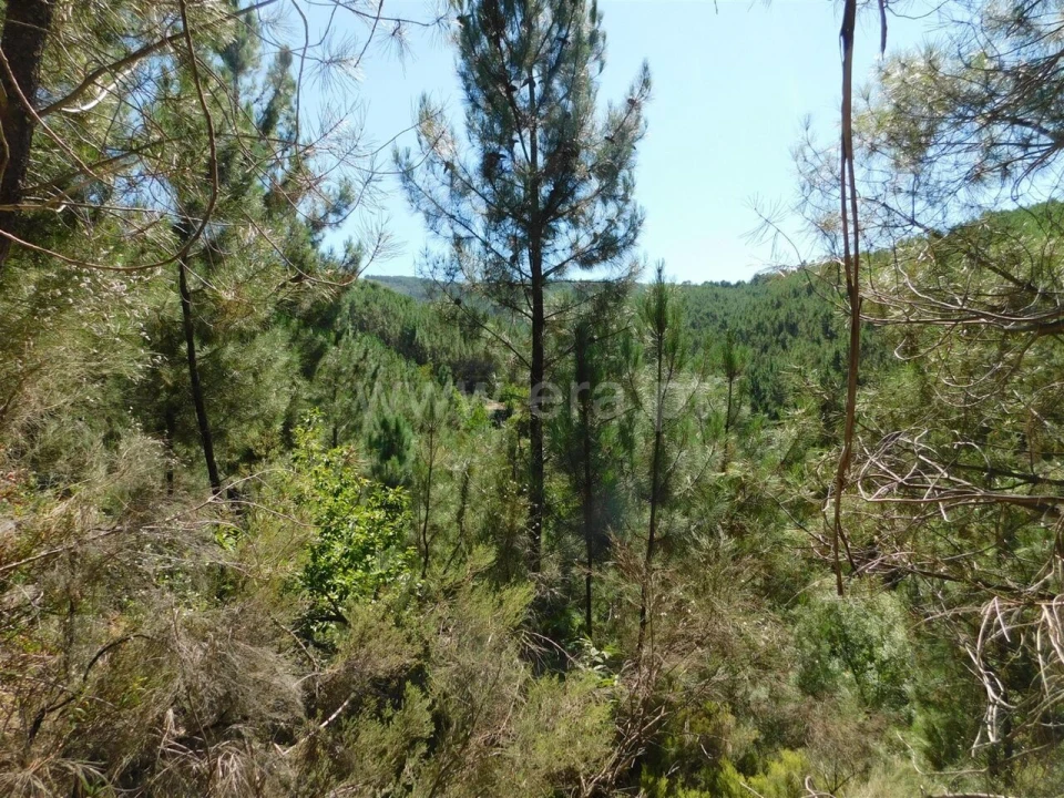 Terreno para Venda em Castelejo Foto 2