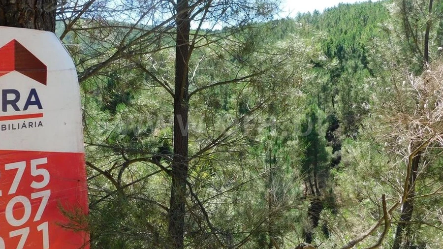 Terreno para Venda em Castelejo