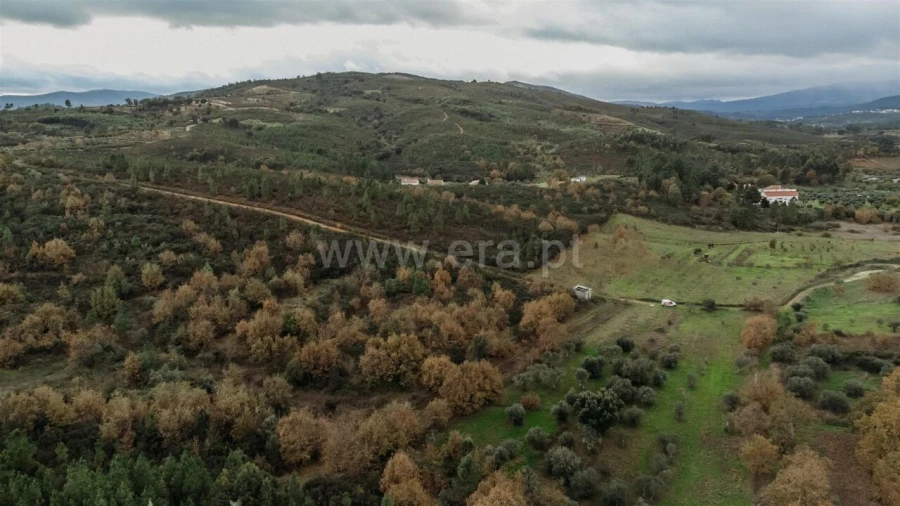 Terreno para Venda em Alcaria Foto 4