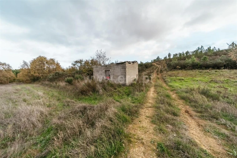 Terreno para Venda em Alcaria Foto 5