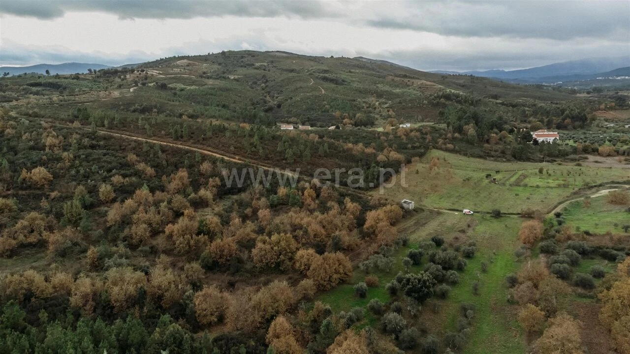 Terreno para Venda em Alcaria Foto 4