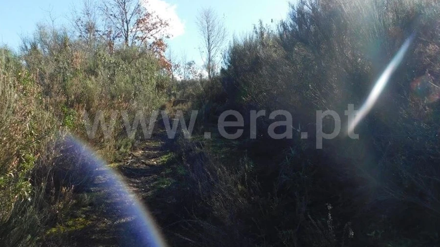 Terreno para Venda em Alcaria