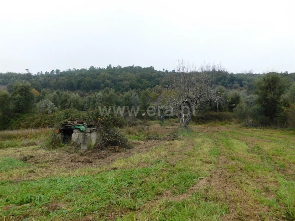 Quinta T0 para Venda em Alcaria Foto 1