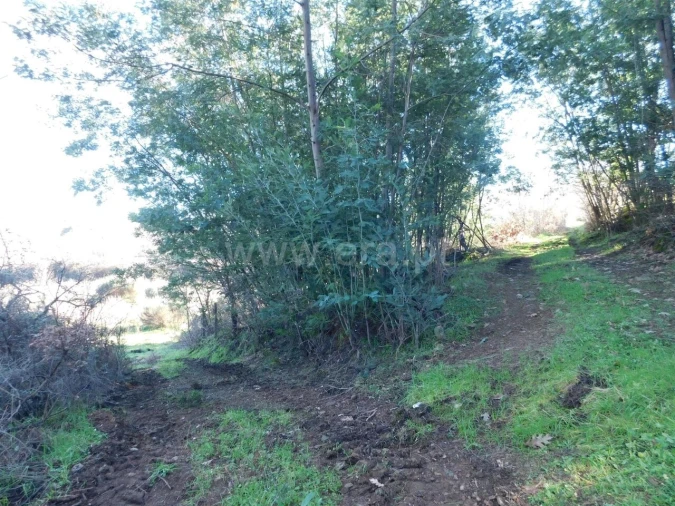 Quinta T0 para Venda em Alcaria Foto 8