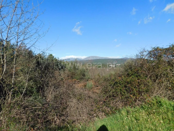 Quinta T0 para Venda em Alcaria Foto 5