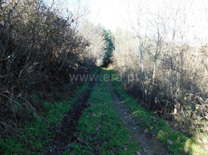 Quinta T0 para Venda em Alcaria Foto 6