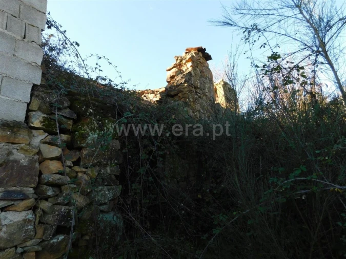 Quinta T0 para Venda em Alcaria Foto 3