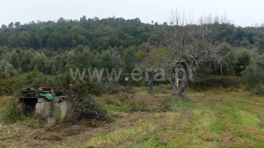 Quinta T0 para Venda em Alcaria