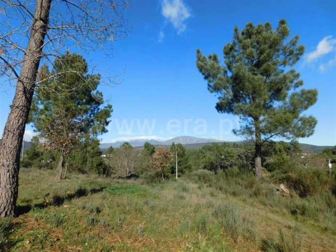 Terreno para Venda em Alcaria Foto 1