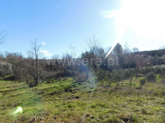 Terreno para Venda em Alcaria Foto 3