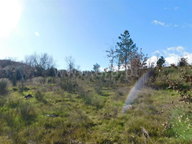 Terreno para Venda em Alcaria Foto 4