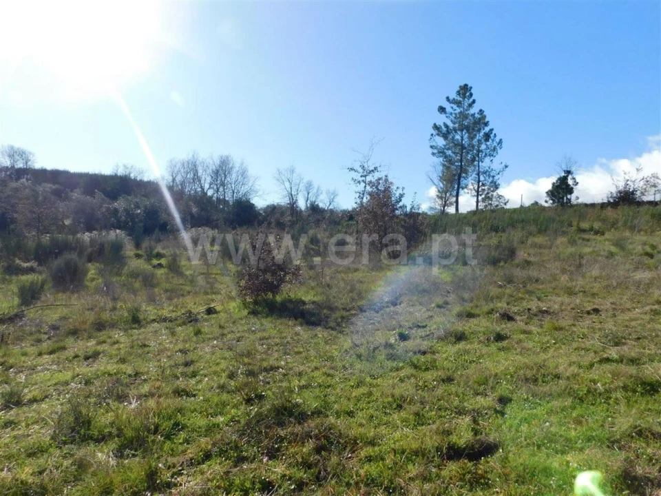 Terreno para Venda em Alcaria Foto 2