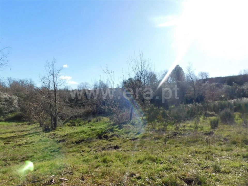 Terreno para Venda em Alcaria Foto 3