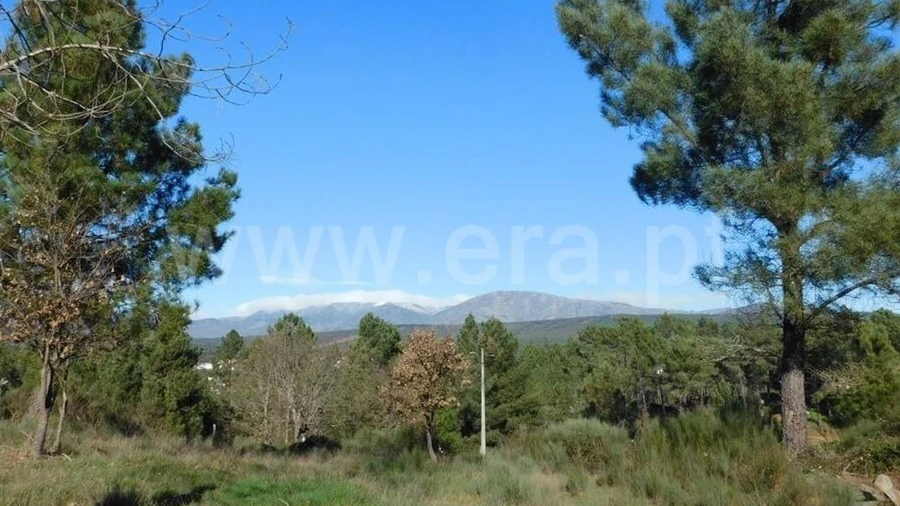 Terreno para Venda em Alcaria