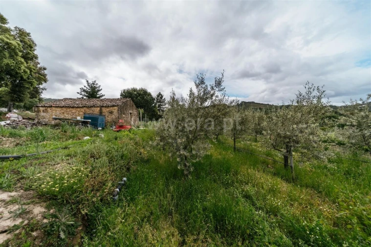 Quinta T0 para Venda em Telhado Foto 5