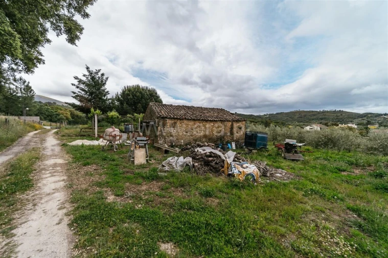 Quinta T0 para Venda em Telhado Foto 6