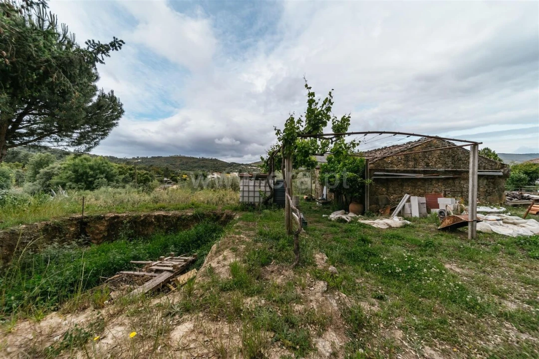 Quinta T0 para Venda em Telhado Foto 4