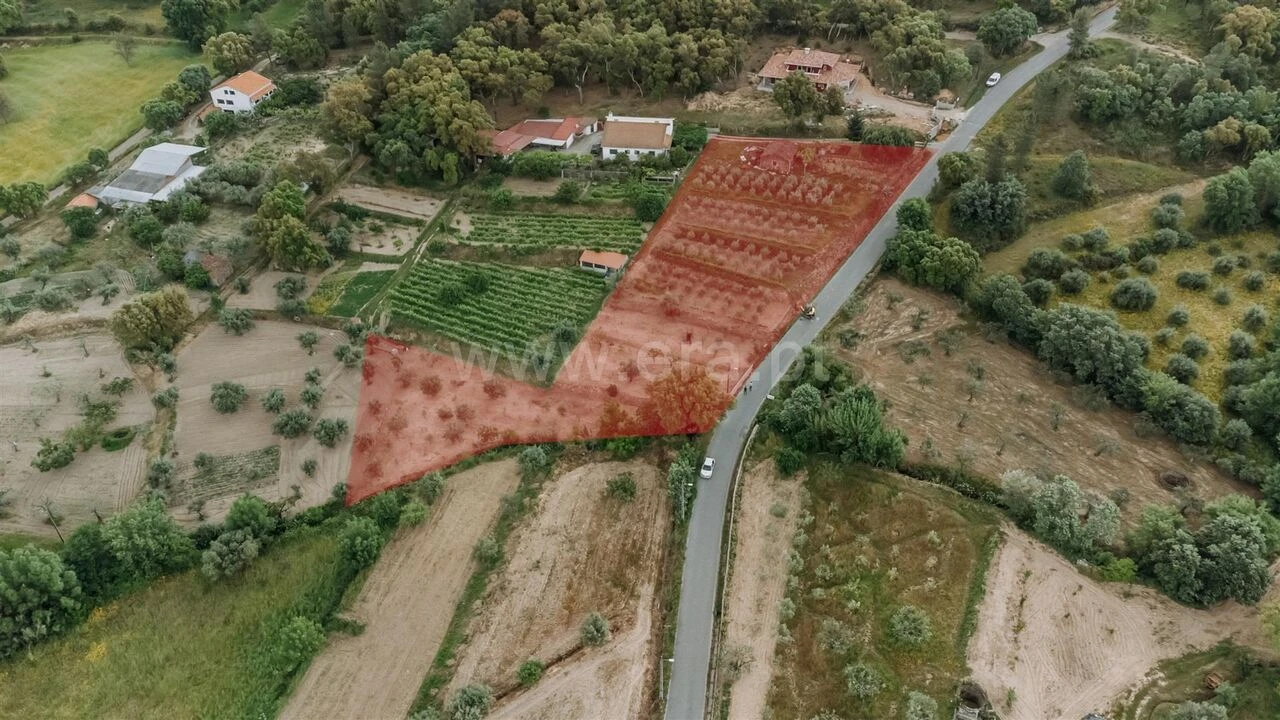 Quinta T0 para Venda em Telhado Foto 3