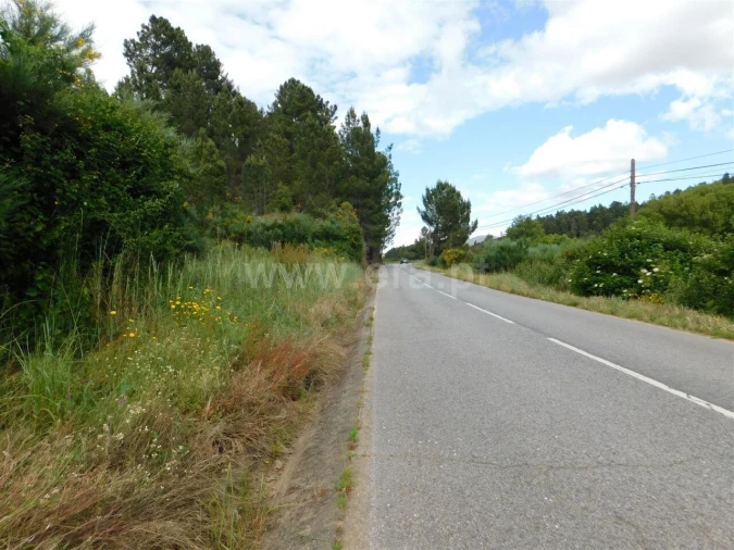 Terreno para Venda em Castelejo Foto 2