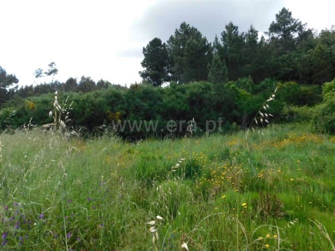 Terreno para Venda em Castelejo Foto 3