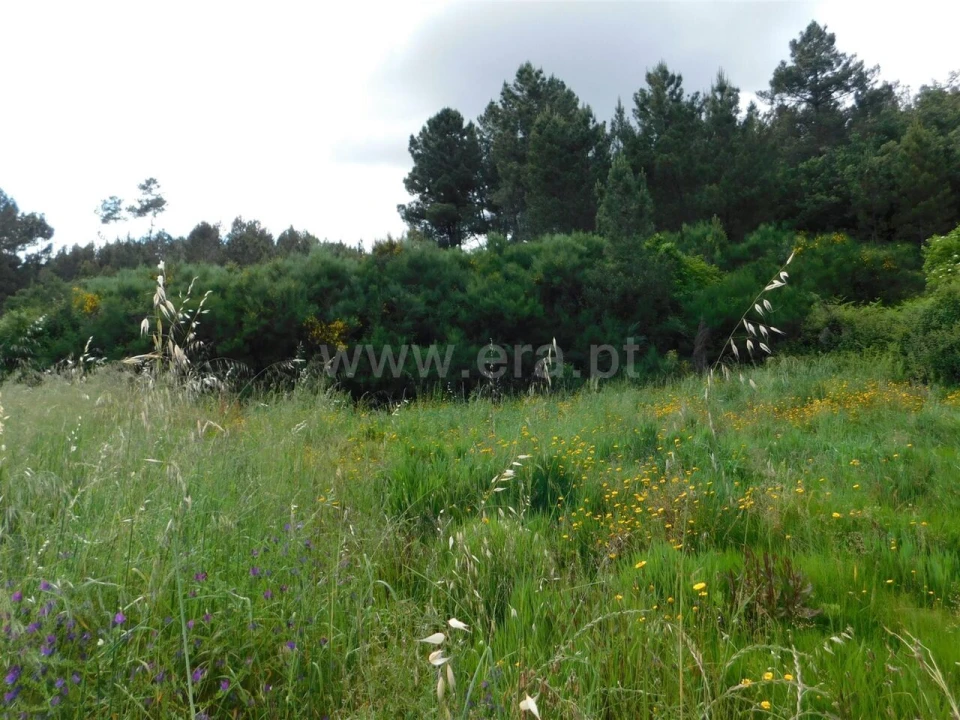 Terreno para Venda em Castelejo Foto 3