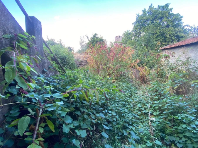 Moradia T3 para Venda em Ninho do Açor e Sobral do Campo Foto 15