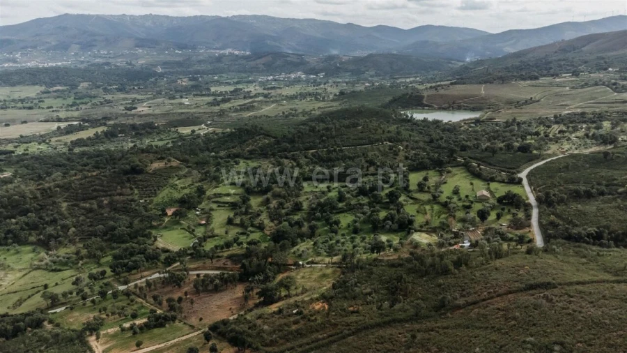 Terreno para Venda em Telhado Foto 10