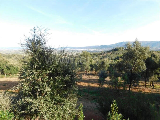 Terreno para Venda em Telhado Foto 7