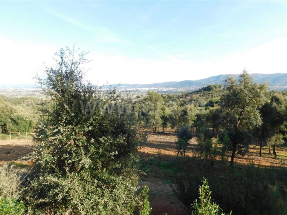 Terreno para Venda em Telhado Foto 7