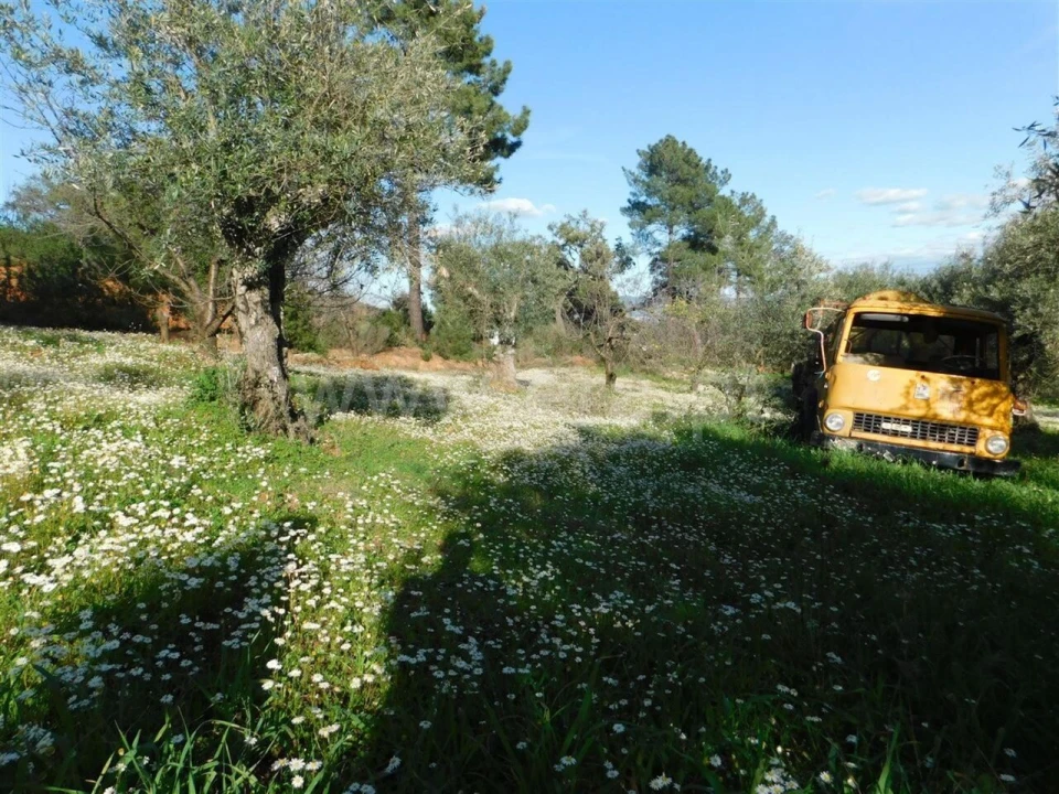 Terreno para Venda em Telhado Foto 4