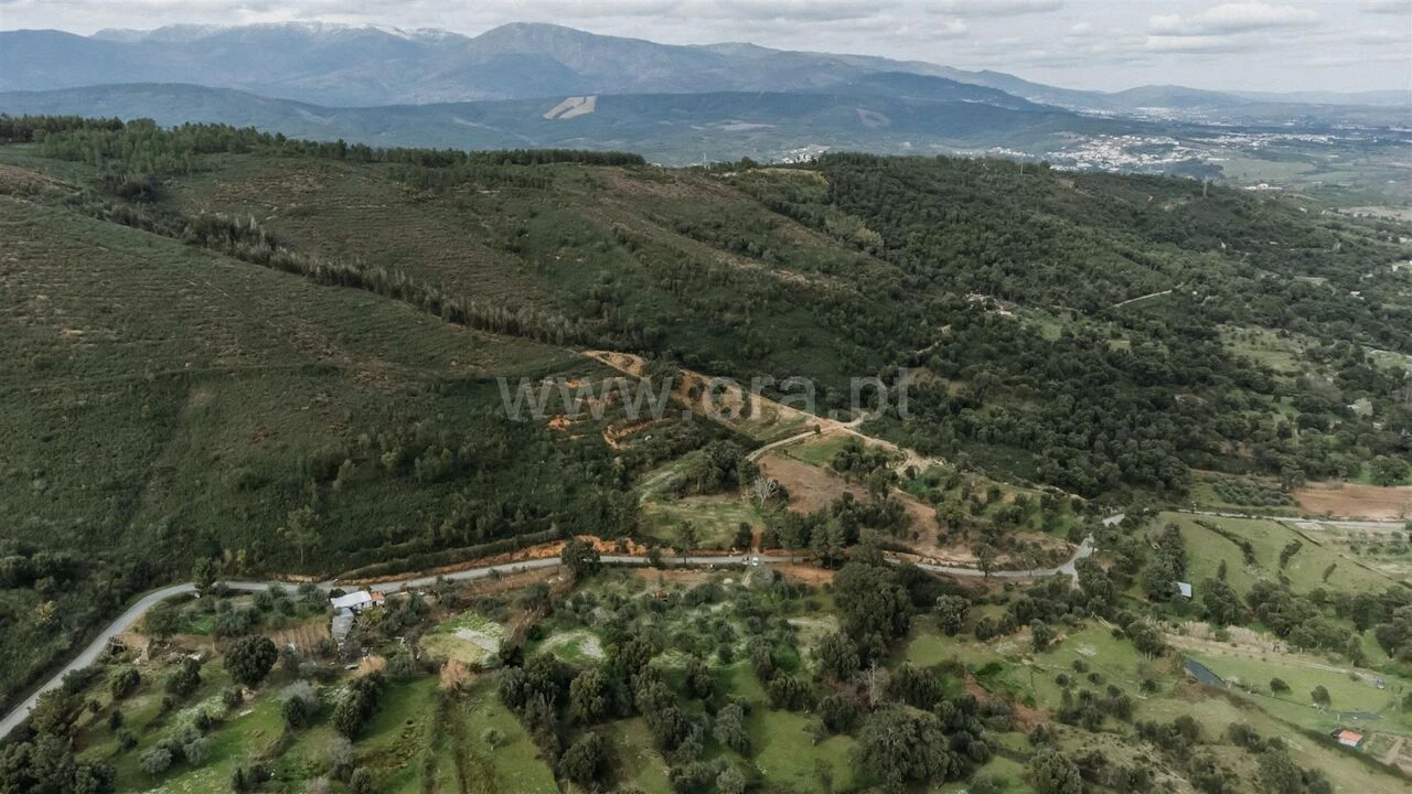 Terreno para Venda em Telhado Foto 13