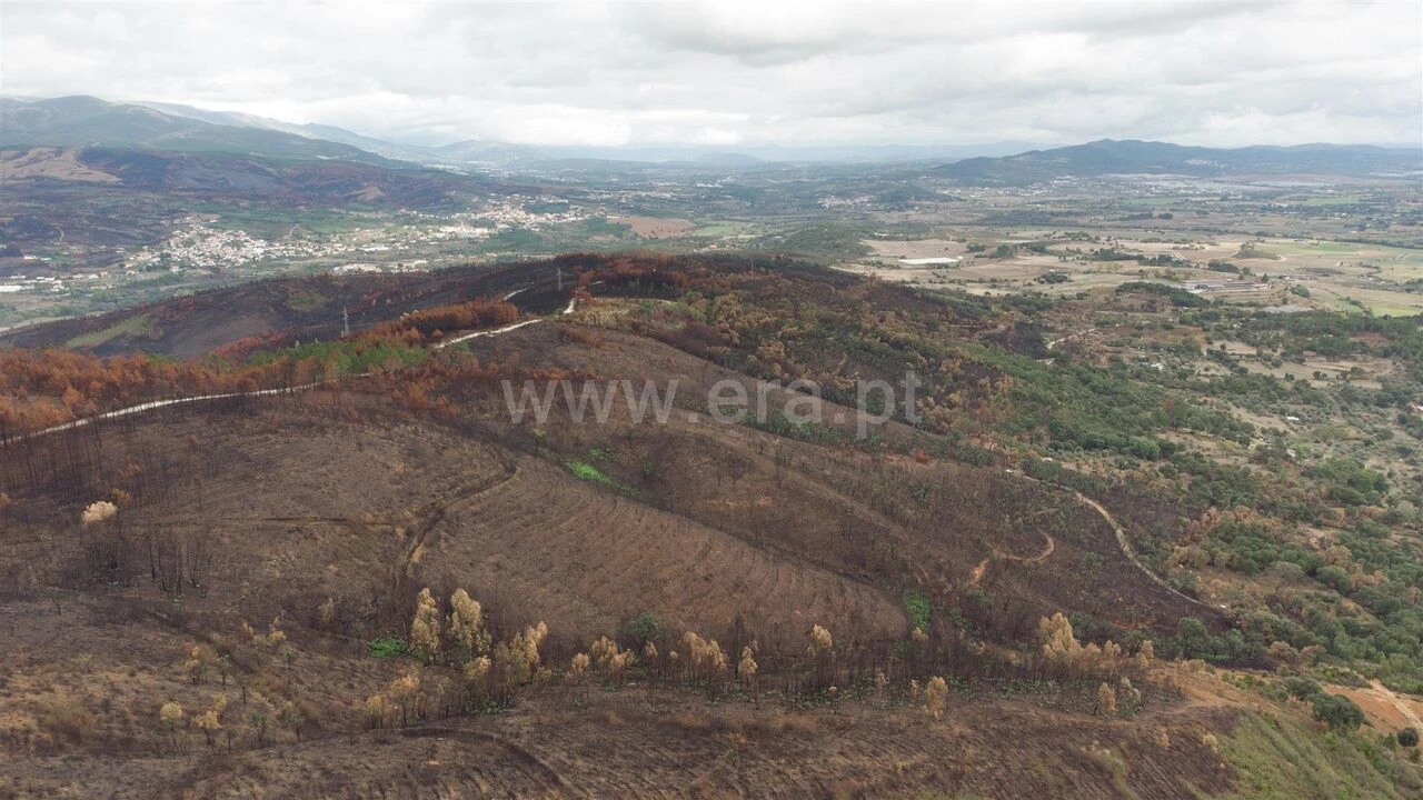 Terreno para Venda em Telhado Foto 8