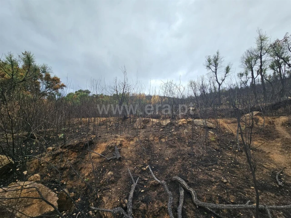 Terreno para Venda em Telhado Foto 2