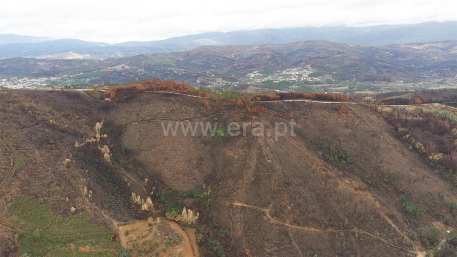 Terreno para Venda em Telhado