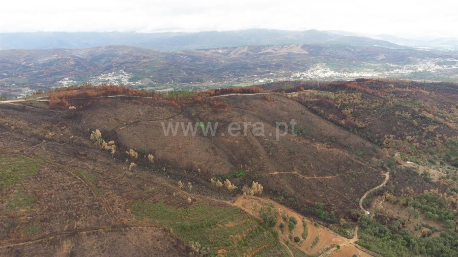 Terreno para Venda em Telhado Foto 6