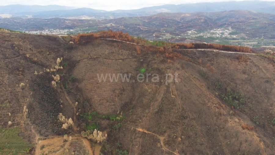 Terreno para Venda em Telhado Foto 5
