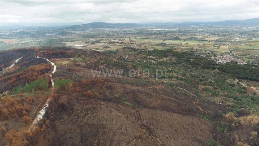 Terreno para Venda em Telhado Foto 9