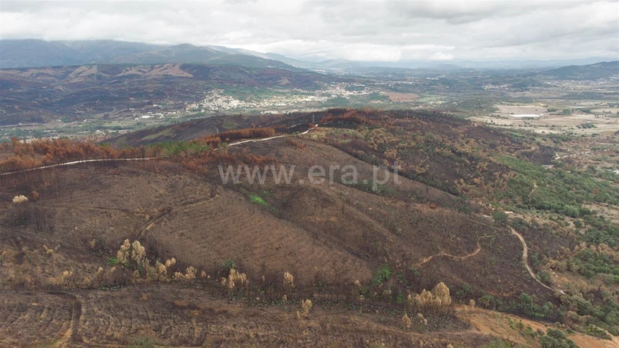 Terreno para Venda em Telhado Foto 7