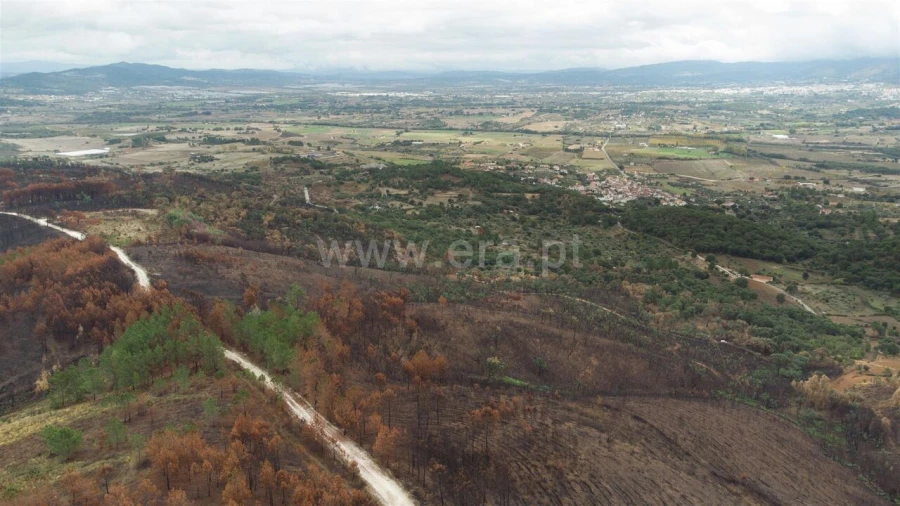 Terreno para Venda em Telhado Foto 10