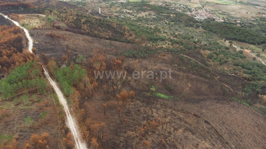 Terreno para Venda em Telhado Foto 11