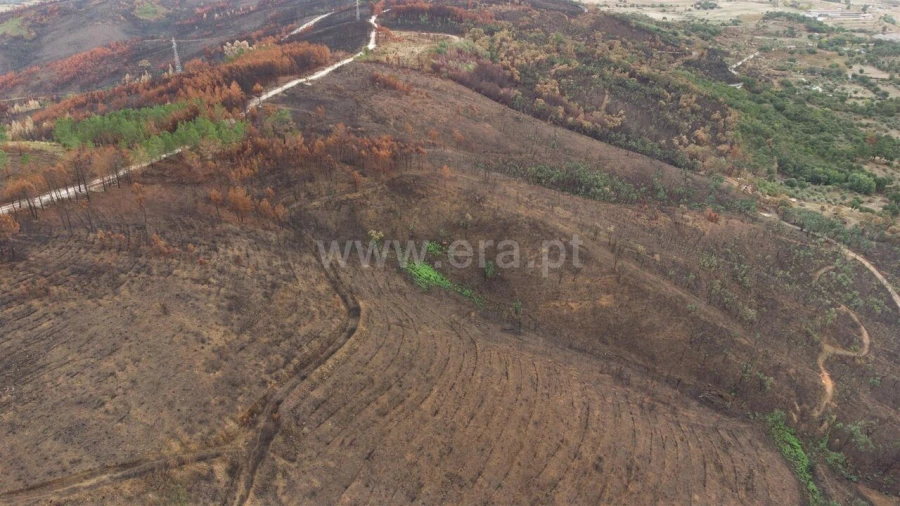 Terreno para Venda em Telhado Foto 12