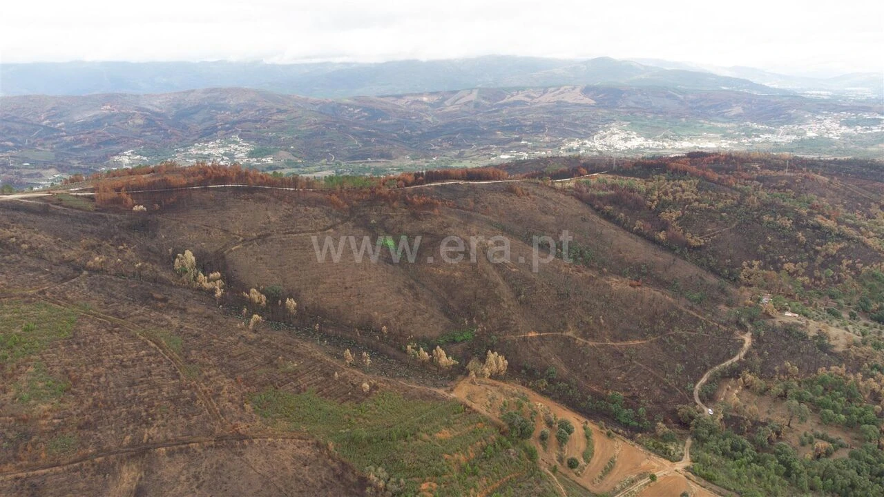 Terreno para Venda em Telhado Foto 6