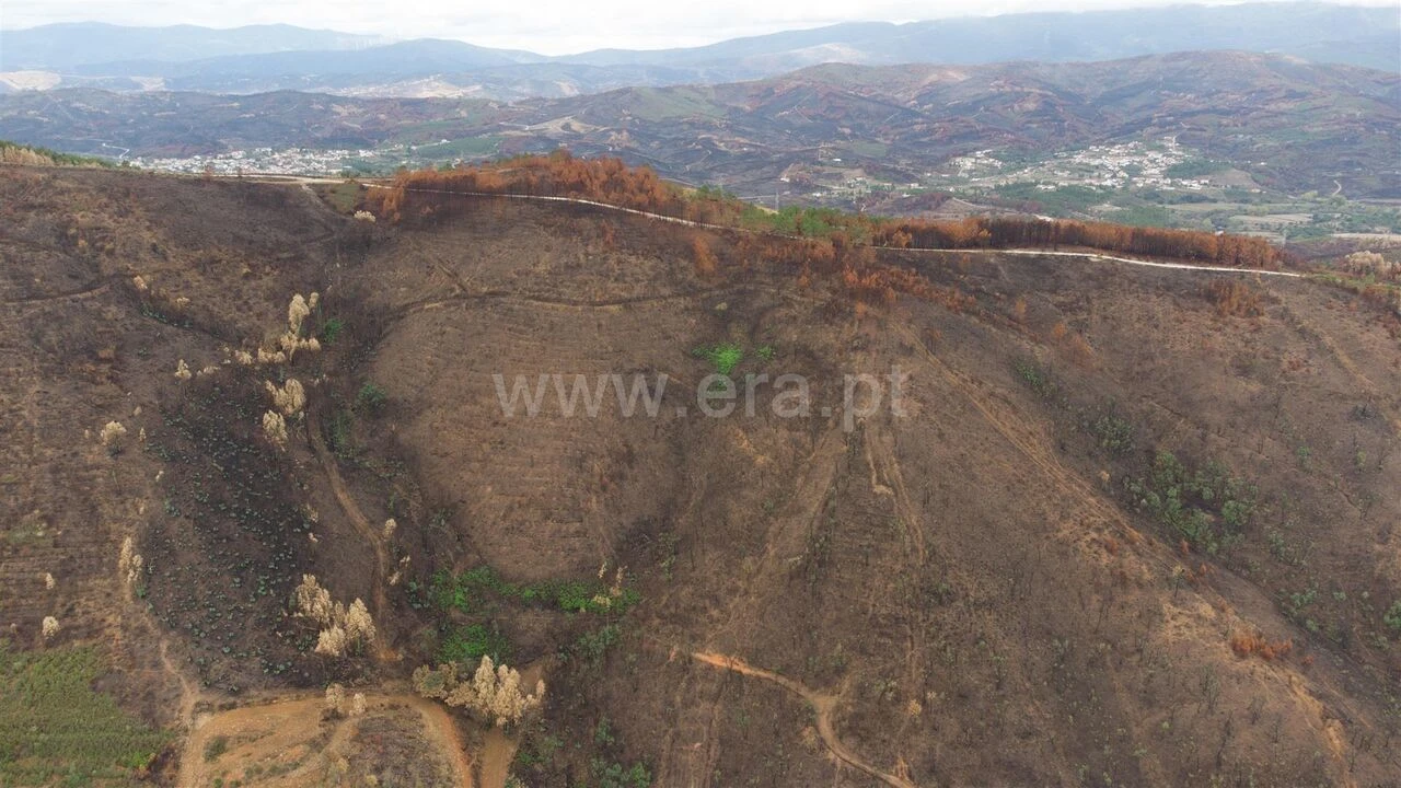 Terreno para Venda em Telhado Foto 5