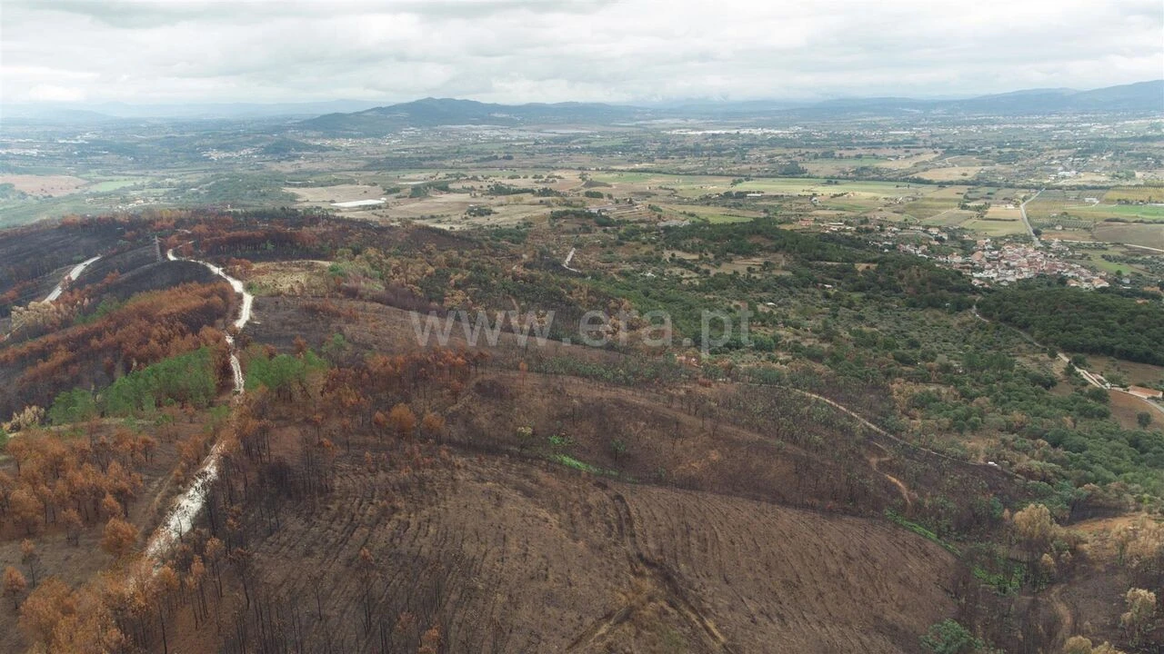 Terreno para Venda em Telhado Foto 9