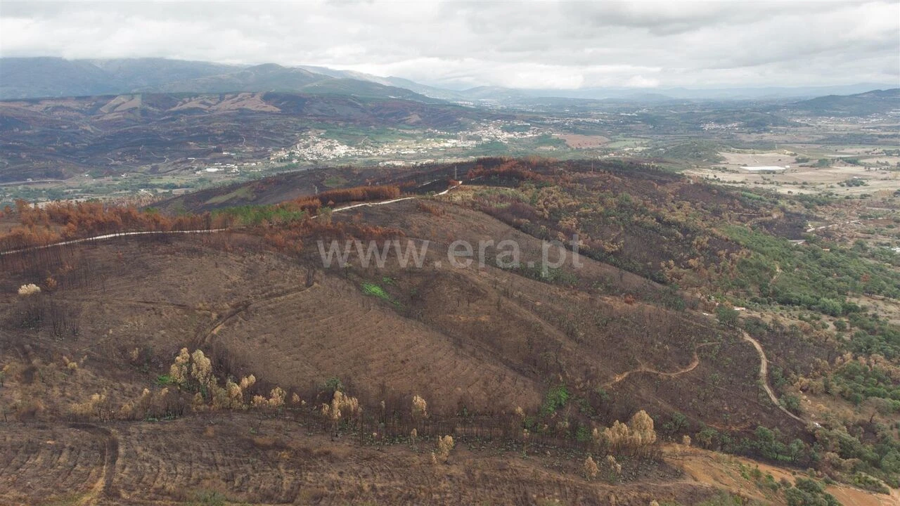 Terreno para Venda em Telhado Foto 7