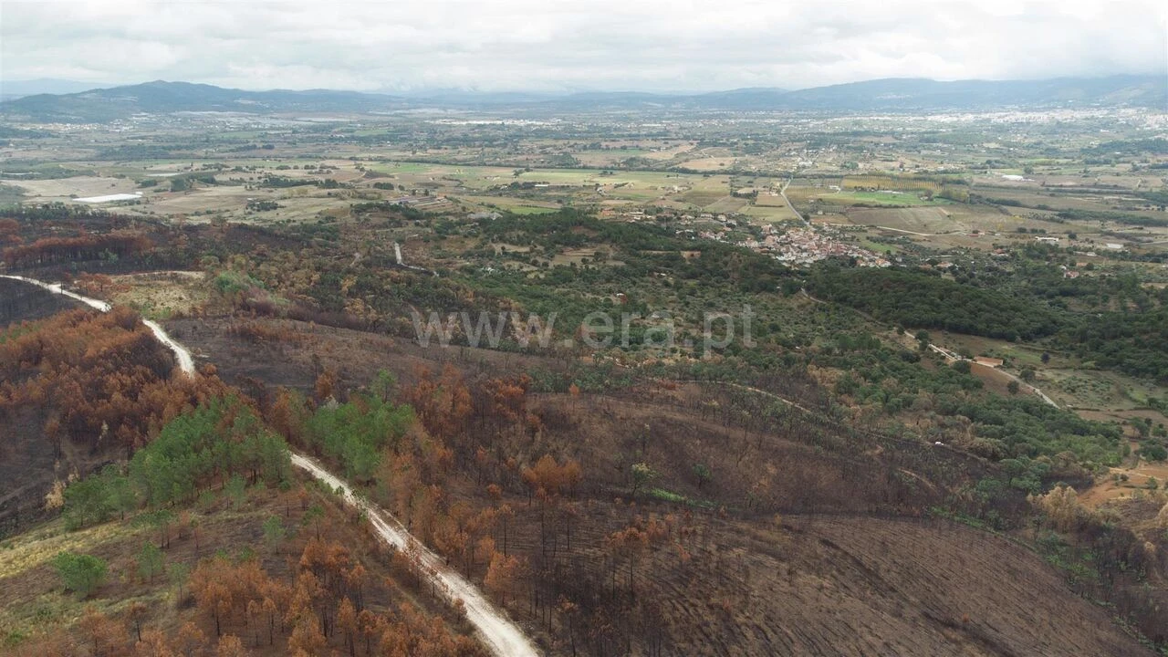 Terreno para Venda em Telhado Foto 10