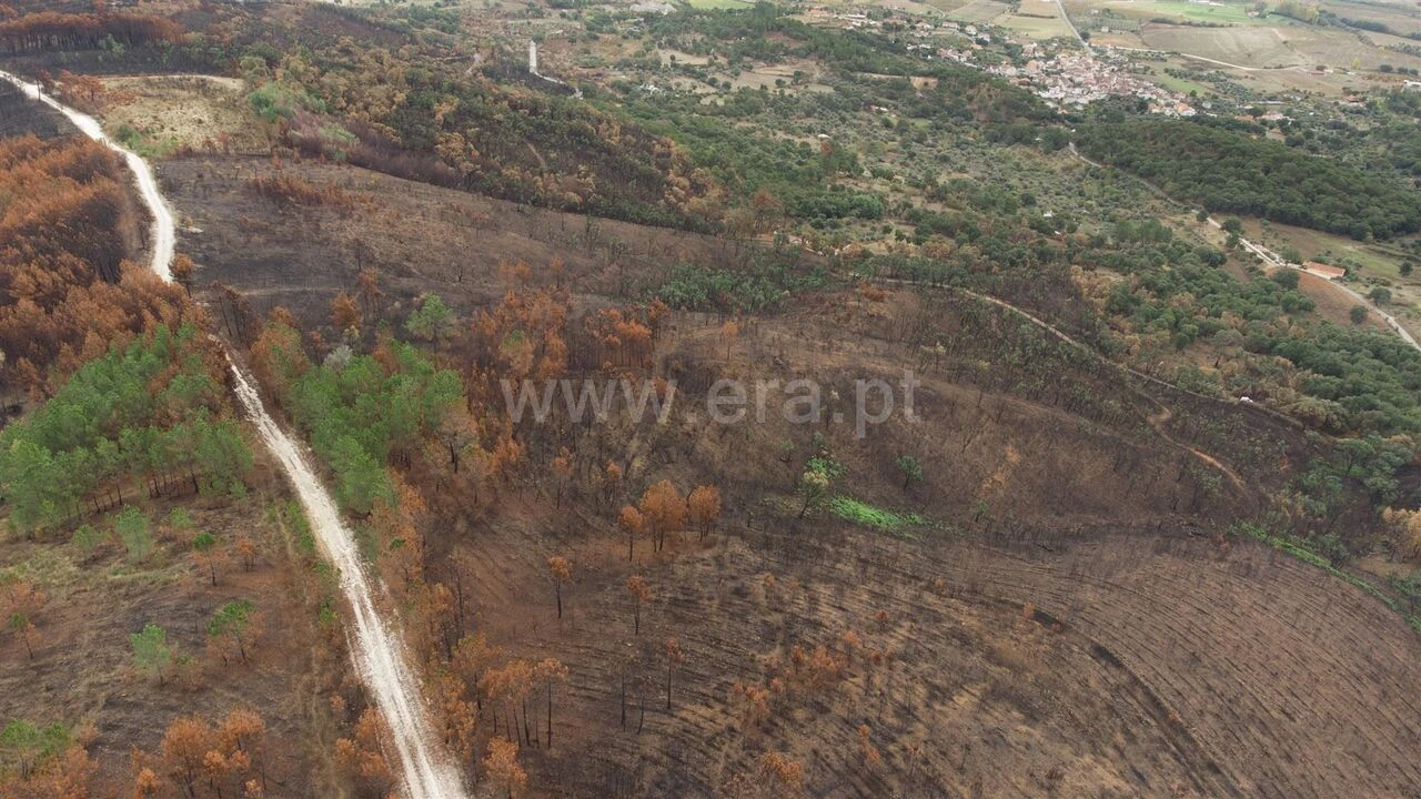 Terreno para Venda em Telhado Foto 11