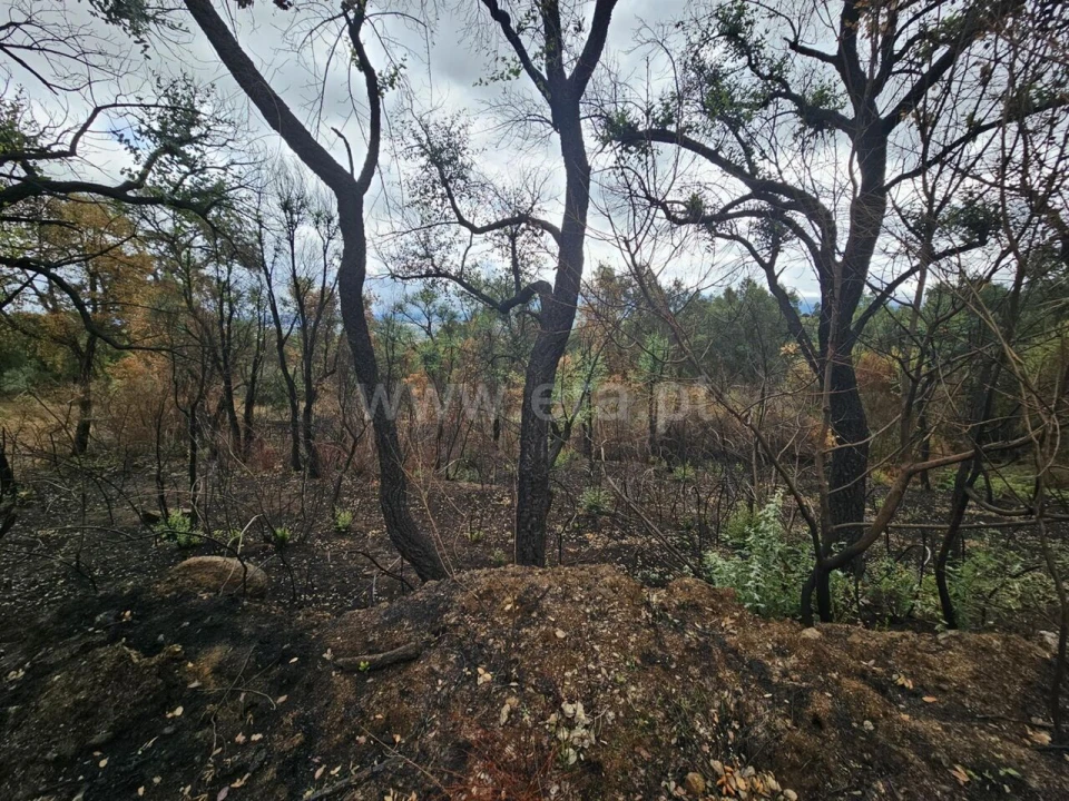 Terreno para Venda em Telhado Foto 3
